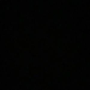 Meet your Posher, Hiba